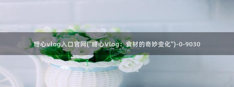 糖心velg：糖心vlog入口官网(\