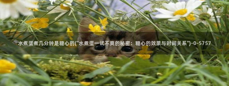 糖心怎么下：水煮蛋煮几分钟是糖心的(\