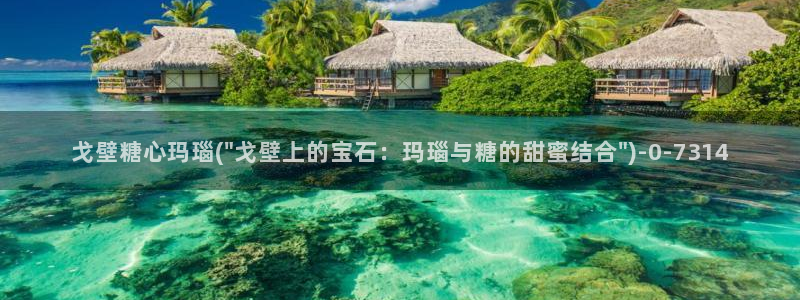 糖心viog免费版：戈壁糖心玛瑙(\