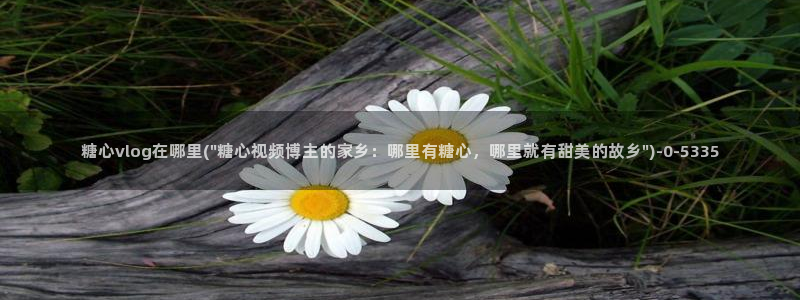 糖心vlogg