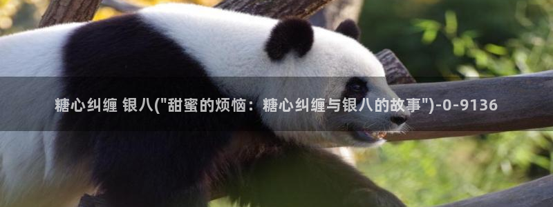 糖心vlogios：糖心纠缠 银八(\
