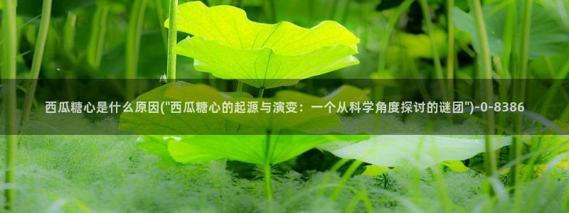 tx糖心