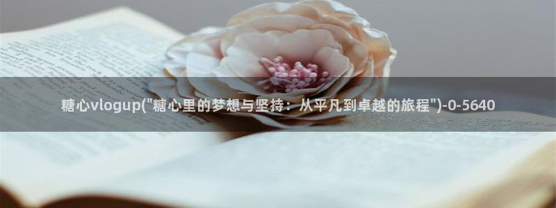糖心最新地址